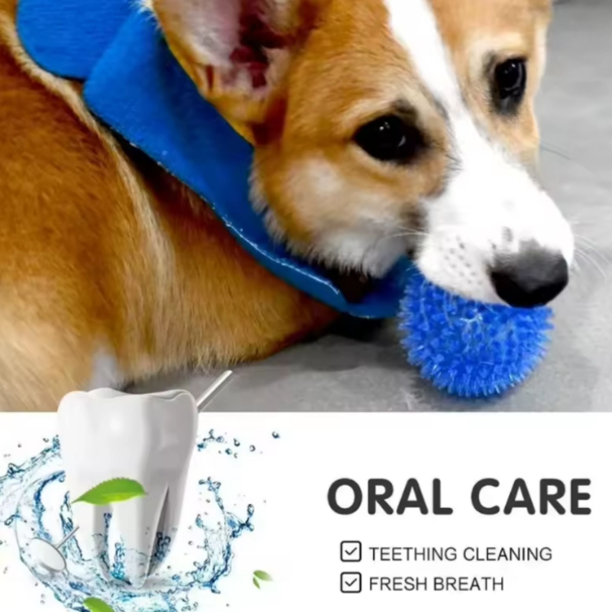 Dental Chew Ball Toy for Pets
