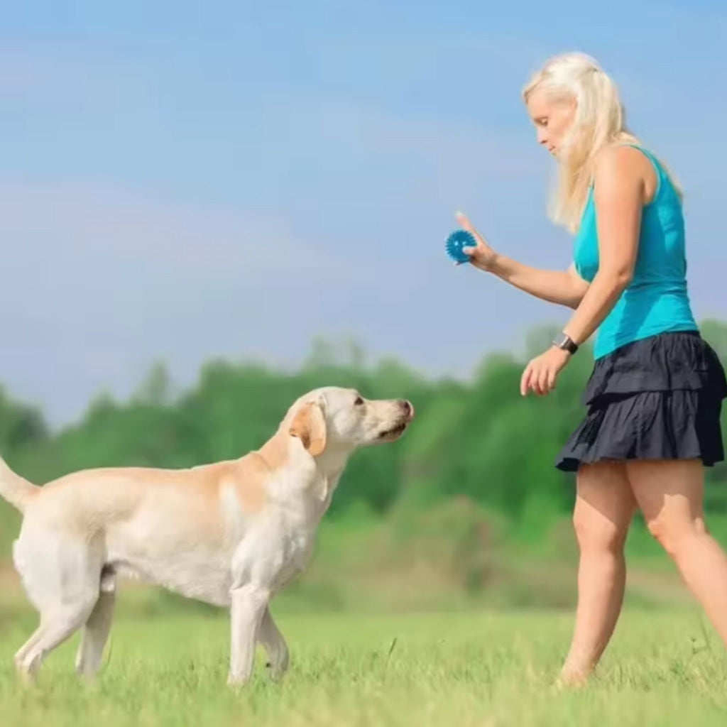 Dental Chew Ball Toy for Pets