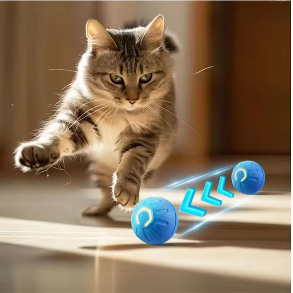Automatic Moving Ball Toy for Dogs & Cats